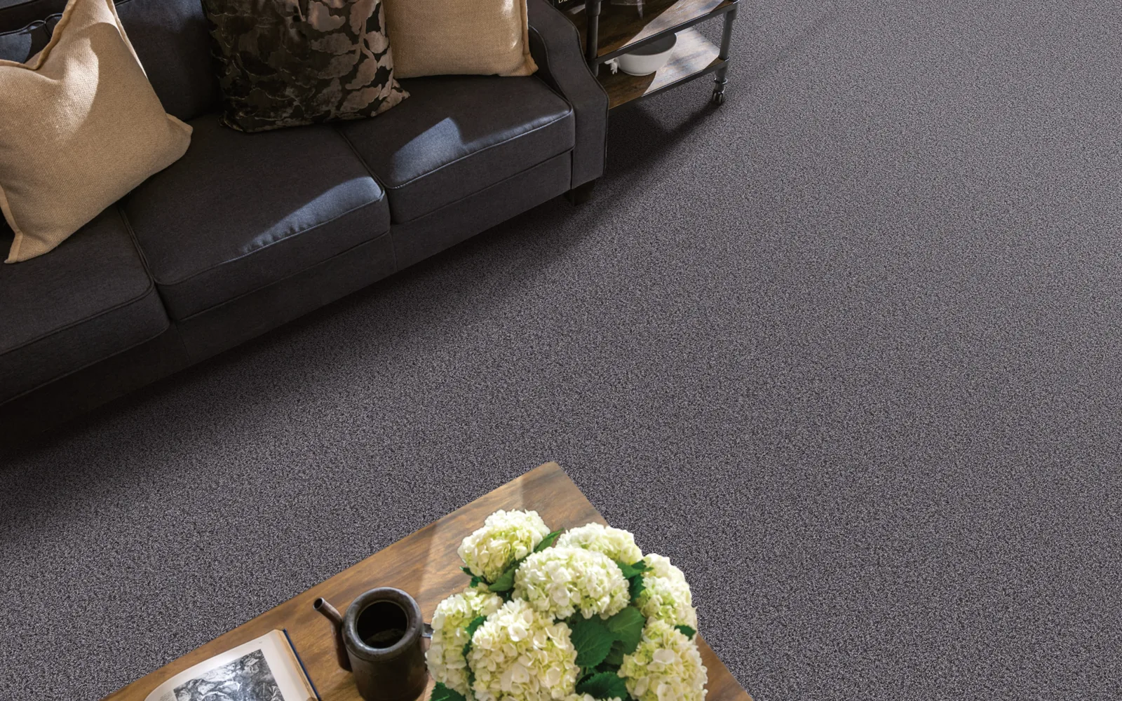 Living room with neutral carpet and bright interior design
