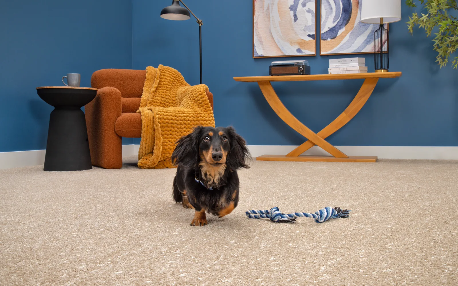 Carpeted stair area where warranty expectations may differ